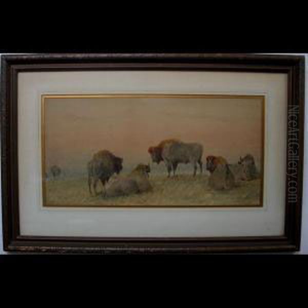 Buffalo At Rest Oil Painting by Frederick Arthur Verner