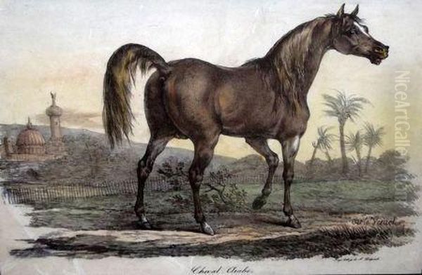 Cheval Arabe Oil Painting by Carle Vernet