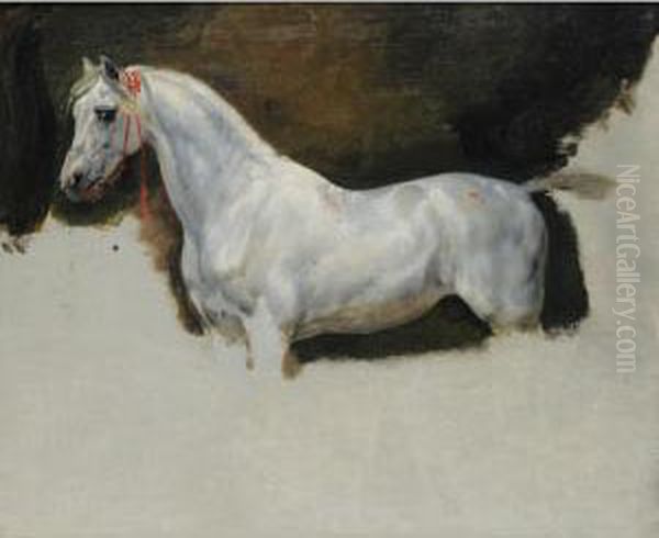 Etude De Cheval Blanc Oil Painting by Horace Vernet