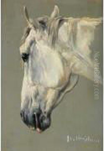 Tete De
 Cheval Oil Painting by C. Verschuur