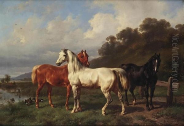 Three Horses In A Pasture Oil Painting by Wouterus Verschuur