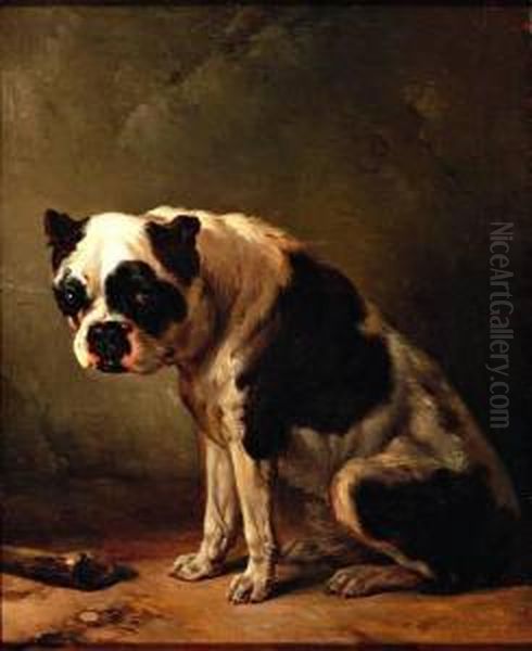 Zittende Hond, Een Boxer Oil Painting by Wouterus Verschuur