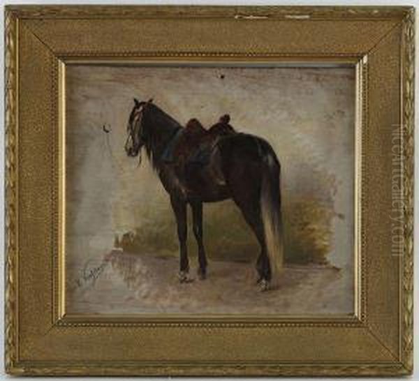 Cheval Selle A L'arret Oil Painting by Wouterus Verschuur