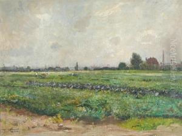 Summer Field In June Oil Painting by Frederick Vezin