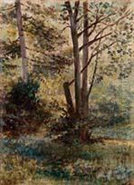 Nel Bosco Oil Painting by Albert Vianelli