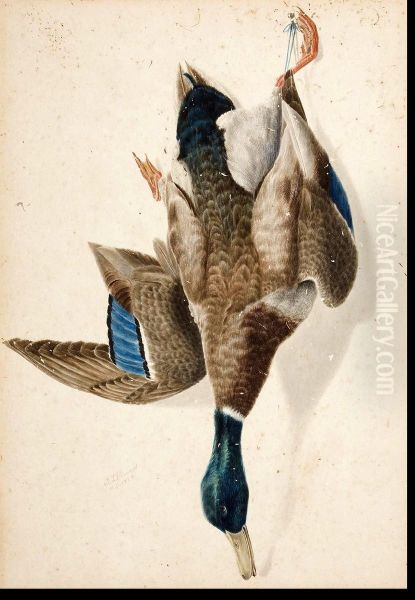 A Hanging Mallard Drake Oil Painting by George Louis Viavant