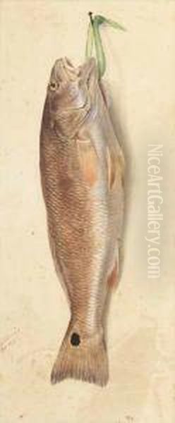 Nature Morte: Redfish Oil Painting by George Louis Viavant