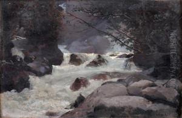 Cascade Aux Rochers Oil Painting by Jehan Georges Vibert