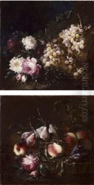 Natura Morta Con Susine E Pesche Oil Painting by Vicenzino