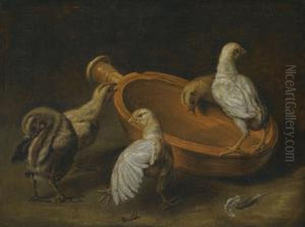 Five Chicks Assembled Around A Bowl Of Water Oil Painting by Jacomo (or Victor, Jacobus) Victors