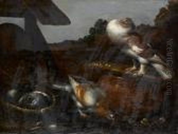 Pigeons And Other Birds In Their Nest Oil Painting by Jacomo (or Victor, Jacobus) Victors