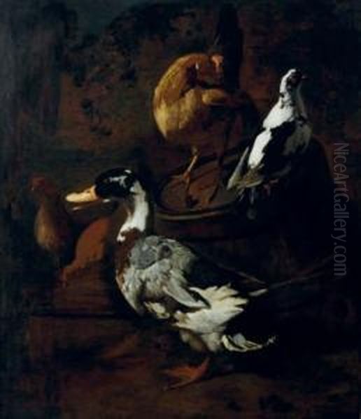 Poultry And Fowl In A Barn; And A Duck And Other Fowl In A Yard Oil Painting by Jacomo (or Victor, Jacobus) Victors