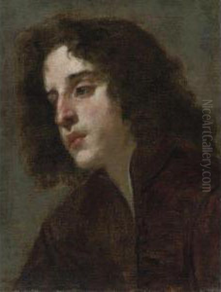 Head Study Of A Young Man by Jacopo Vignali