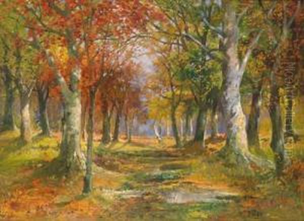 Herbstliche Waldlandschaft Oil Painting by Karl Vikas