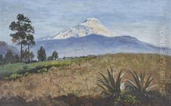 El Cayambe, Ecuador Oil Painting by Cesar A. Villacres