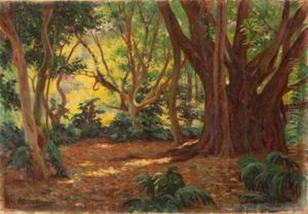 Paisaje Boscoso Oil Painting by Manuel Villegas Brieva