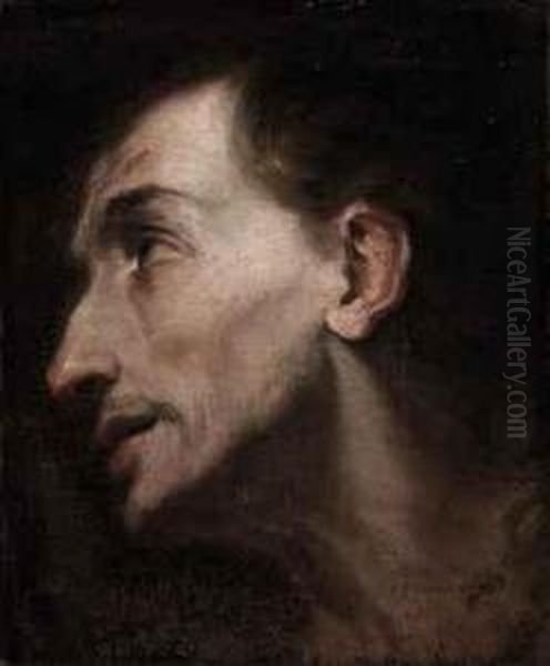 Study Of The Head Of A Saint Oil Painting by Carlo Vimercati