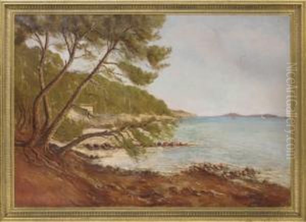 A View Along The Coast, Port Jackson, New South Wales Oil Painting by W. Vincent