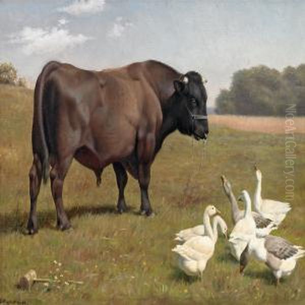 Grazing Geese And A Chained Bull On A Summer Meadow Oil Painting by Einar Vindfeldt