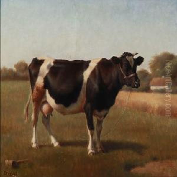 A Black Spotted Cow In A Field by Ejnar Vindfelt