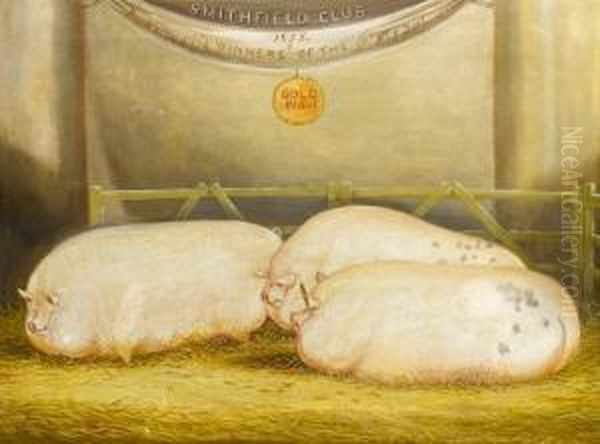 Three Prize Winning Pigs Oil Painting by John Vine Of Colchester