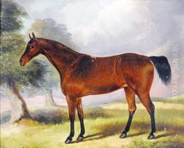 Portrait Of A Bay Mare, Jinny, By Wynot, Foaled In 1842 Oil Painting by John Vine Of Colchester