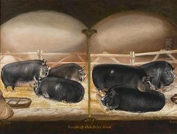 Six Prize Berkshire Pigs Oil Painting by John Vine Of Colchester