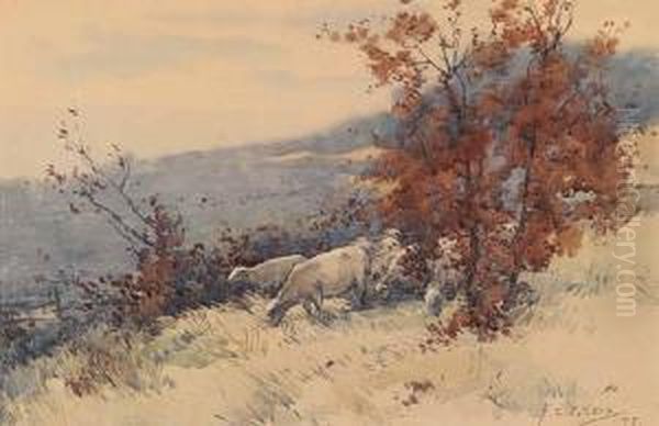 Untitled - Sheep Grazing On A Hillside Oil Painting by Frederick Charles Vipond Ede