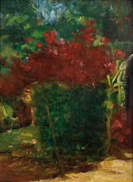 Meu Jardim Teresopolis Oil Painting by Eliseo Visconti