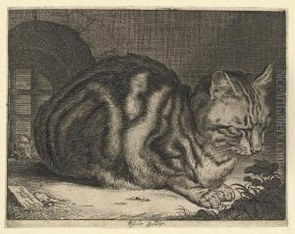 The Large Cat (duthuit 46; Holl. 42) Oil Painting by Cornelius de Visscher