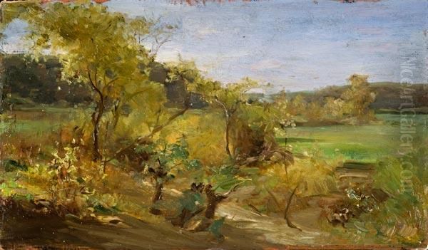 Impressione Campestre Oil Painting by Francesco Vitalini