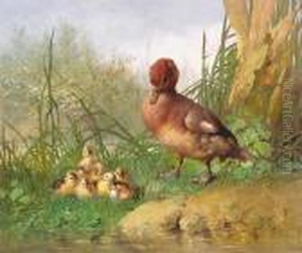 A Duck And Her Chicks By Ariver Oil Painting by Narcisse Vivien