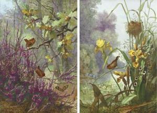 One Depicting Wrens On Oak Branches Above Heather And A Butterfly Oil Painting by Narcisse Vivien