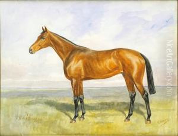 Cavallo Da Corsa Oil Painting by Karl Volkers