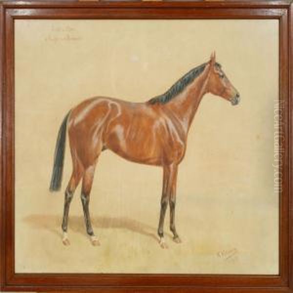 A Horse Portrait Of 