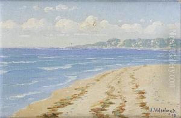 Approach To Stillbay, Riversdale Oil Painting by Jan Ernst Abraham Volschenk