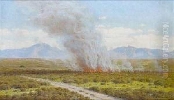 A Veld Fire, Riversdale Oil Painting by Jan Ernst Abraham Volschenk