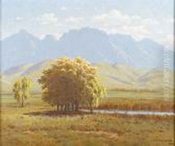 Autumn Sunshine, Near Worchester, Cape Province Oil Painting by Jan Ernst Abraham Volschenk