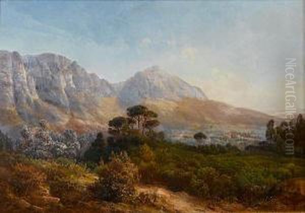 Table Mountain From Newlands Oil Painting by Jan Ernst Abraham Volschenk