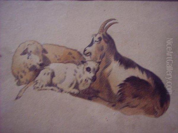 Study Of Two Sheep And A Goat Oil Painting by Ludwig Gustav Voltz