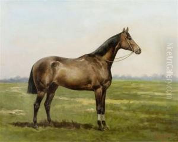 Horse In The Meadow Oil Painting by Thaddaus von Ajdukiewicz