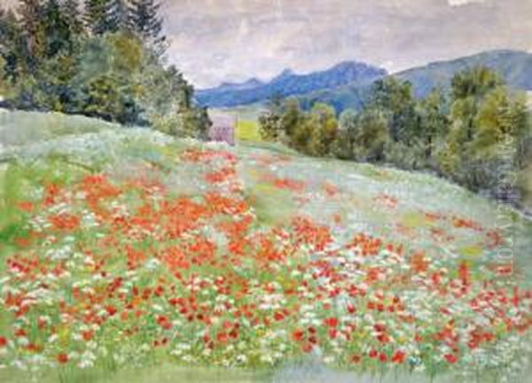 Sommerwiese Mit Klatschmohn Oil Painting by Marie Von Arnsburg