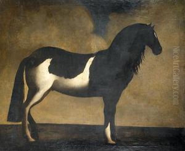 A Black And White Brindled Horse Standing In Profile Oil Painting by David Klocker Von Ehrenstrahl