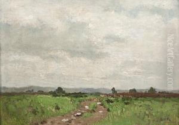 Sommerliche Heidelandschaft Mit Einem Feldweg. Oil Painting by Josua Von Gietl