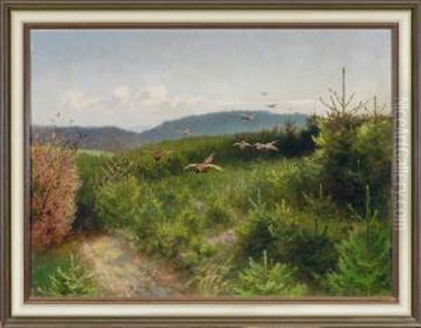 Fliegende Fasane In Hugeliger Nadelwaldlandschaft Oil Painting by Guido Von Maffei