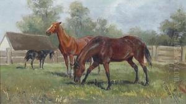 Black, Bay And Light Bay Horses In A Paddock Oil Painting by August Von Meissl