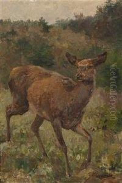 Red Deer Oil Painting by Franz Xavier Von Pausinger