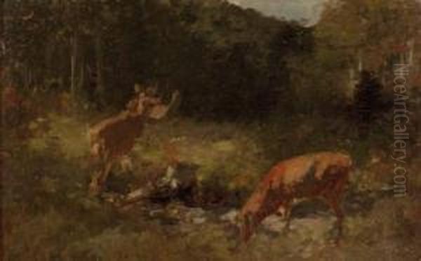 Rehe In Waldlichtung Oil Painting by Franz Xavier Von Pausinger