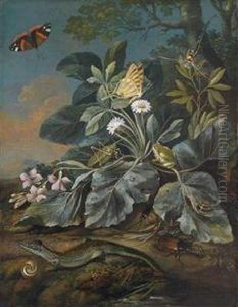 Meadow Flowers, Mushrooms, Insects, Lizards, And Snails On A Forest Ground Oil Painting by Franz Michael Von Purgau