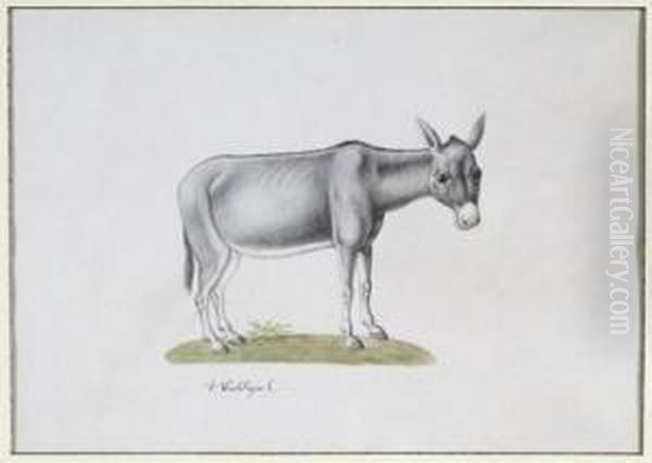 Mule Oil Painting by Franz Anton von Scheidel